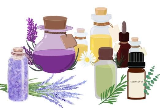 Organize Your Natural Remedies with the Herbs & Essential Oils Planner